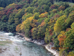 ハープ橋から見る荒川の紅葉